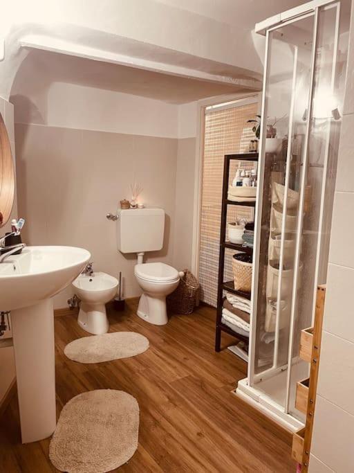 “A Ca Di Amelia” Apartment Savona Exterior photo